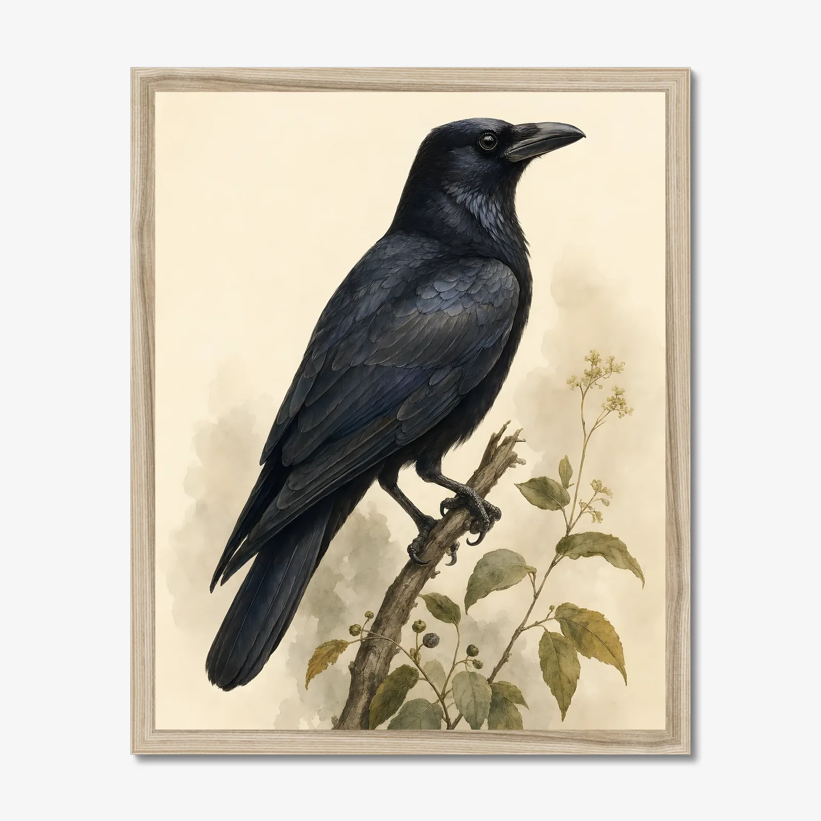 American Crow Print in a natural frame
