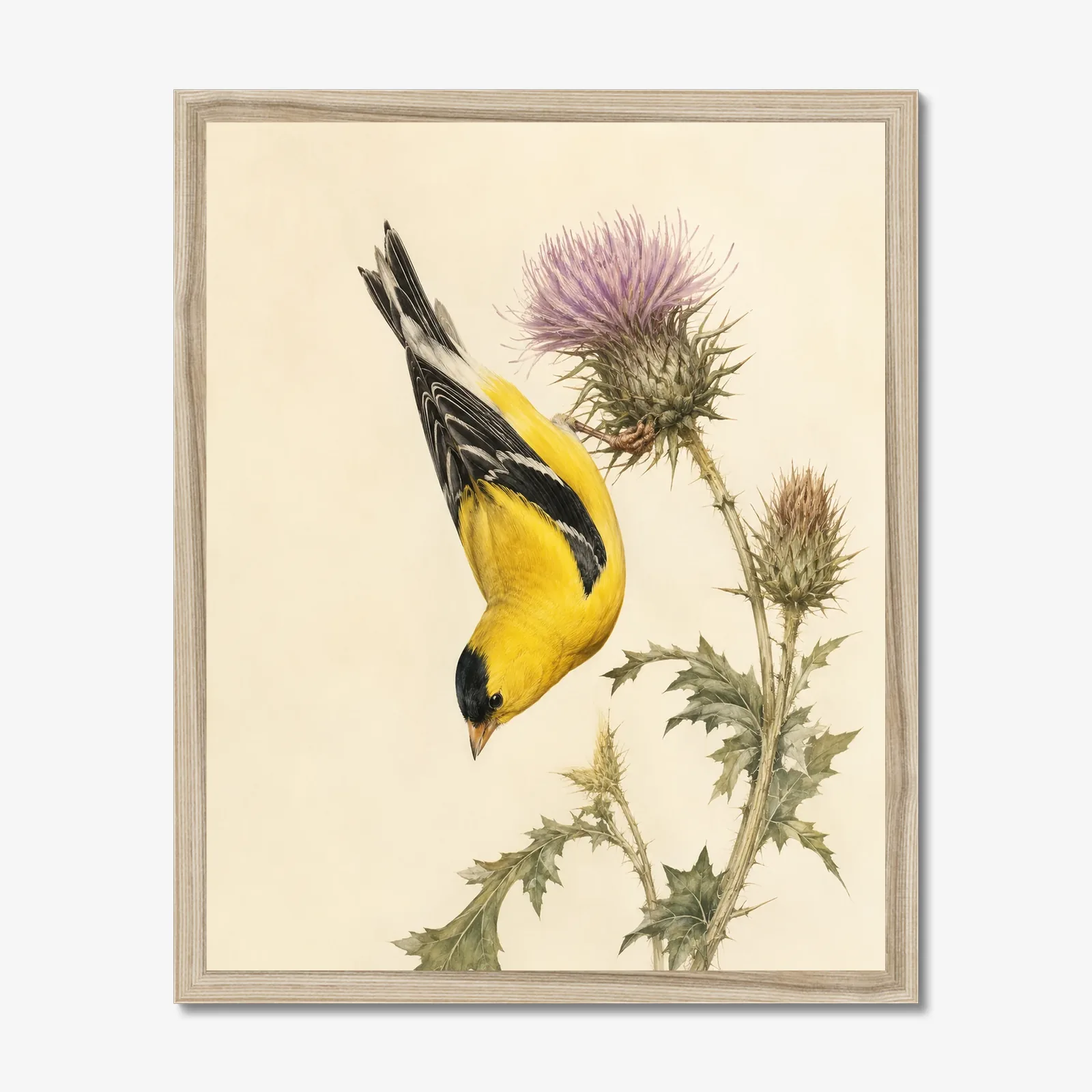 American Goldfinch Print in a natural frame