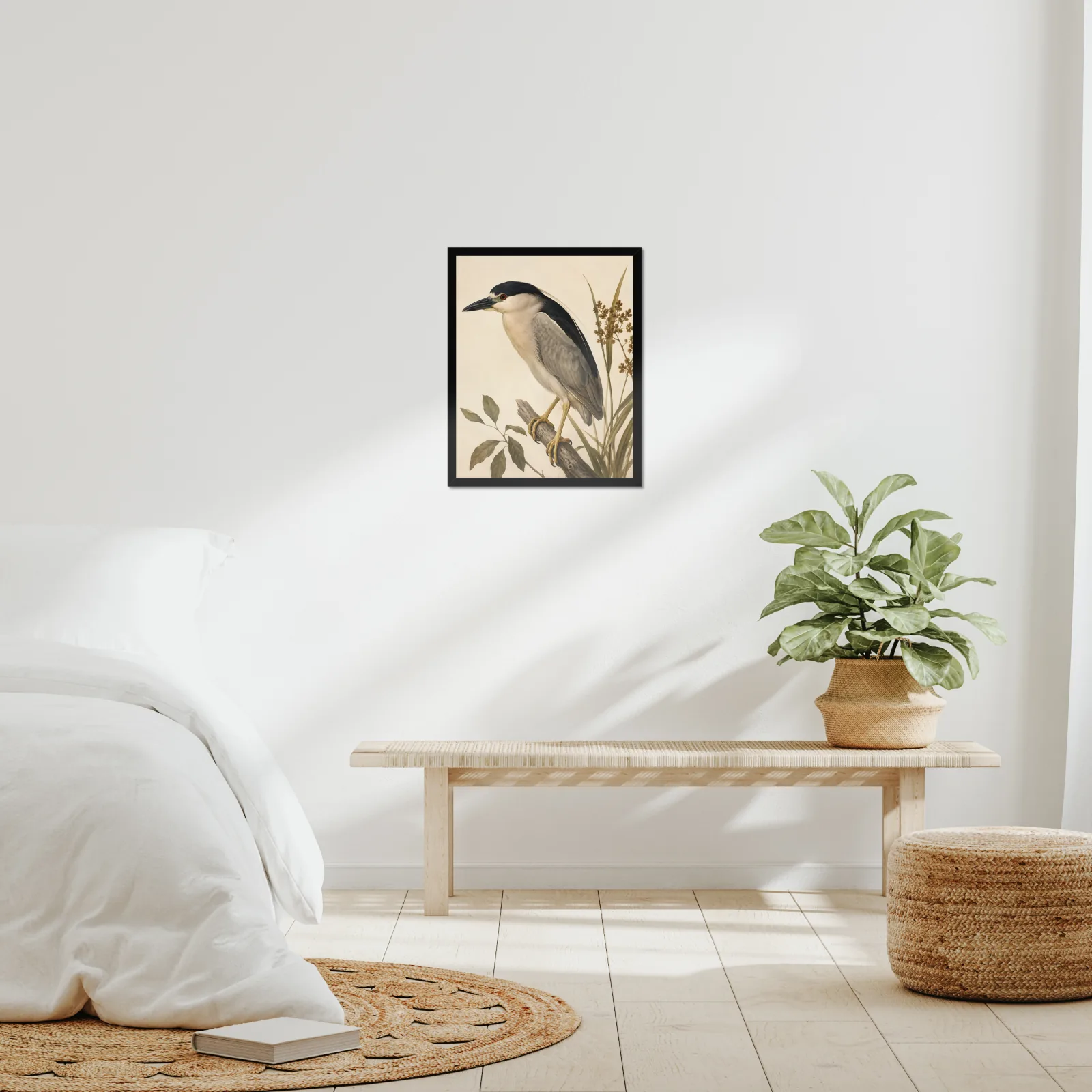 Black Crowned Night Heron Print framed at 16x20 inches, shown on a wall to scale