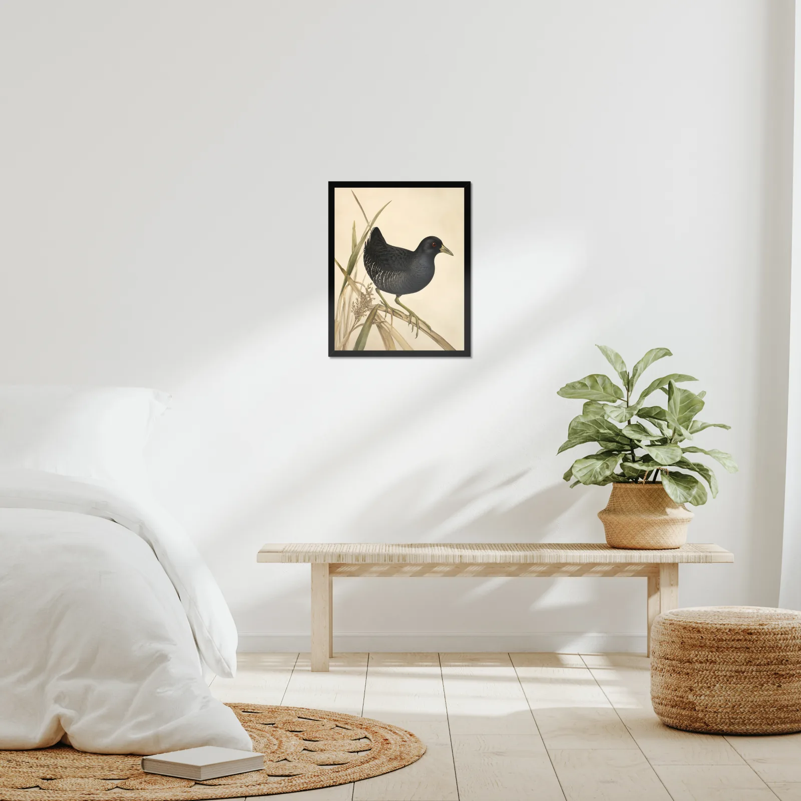 Black Rail Print framed at 16x20 inches, shown on a wall to scale