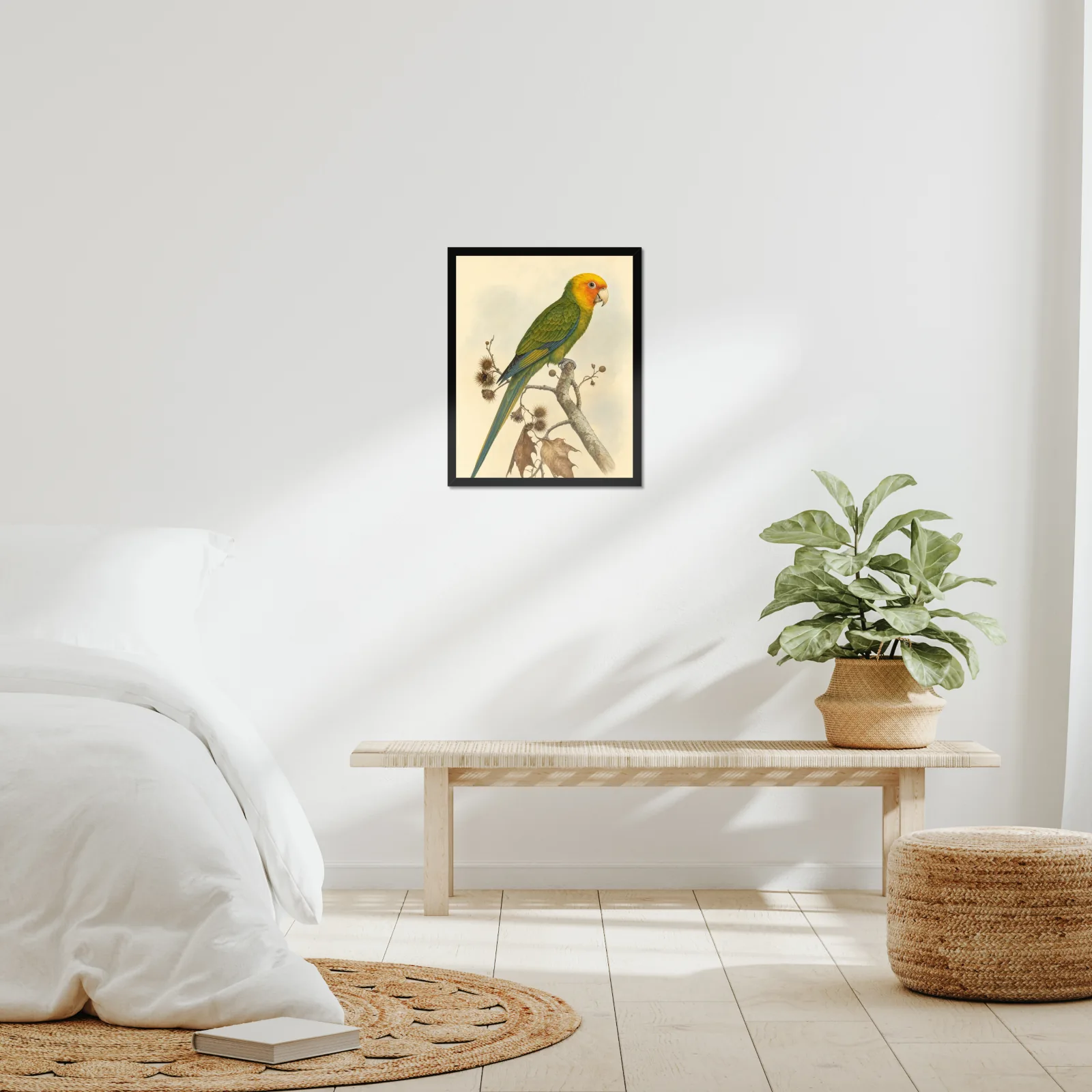 Carolina Parakeet Print framed at 16x20 inches, shown on a wall to scale