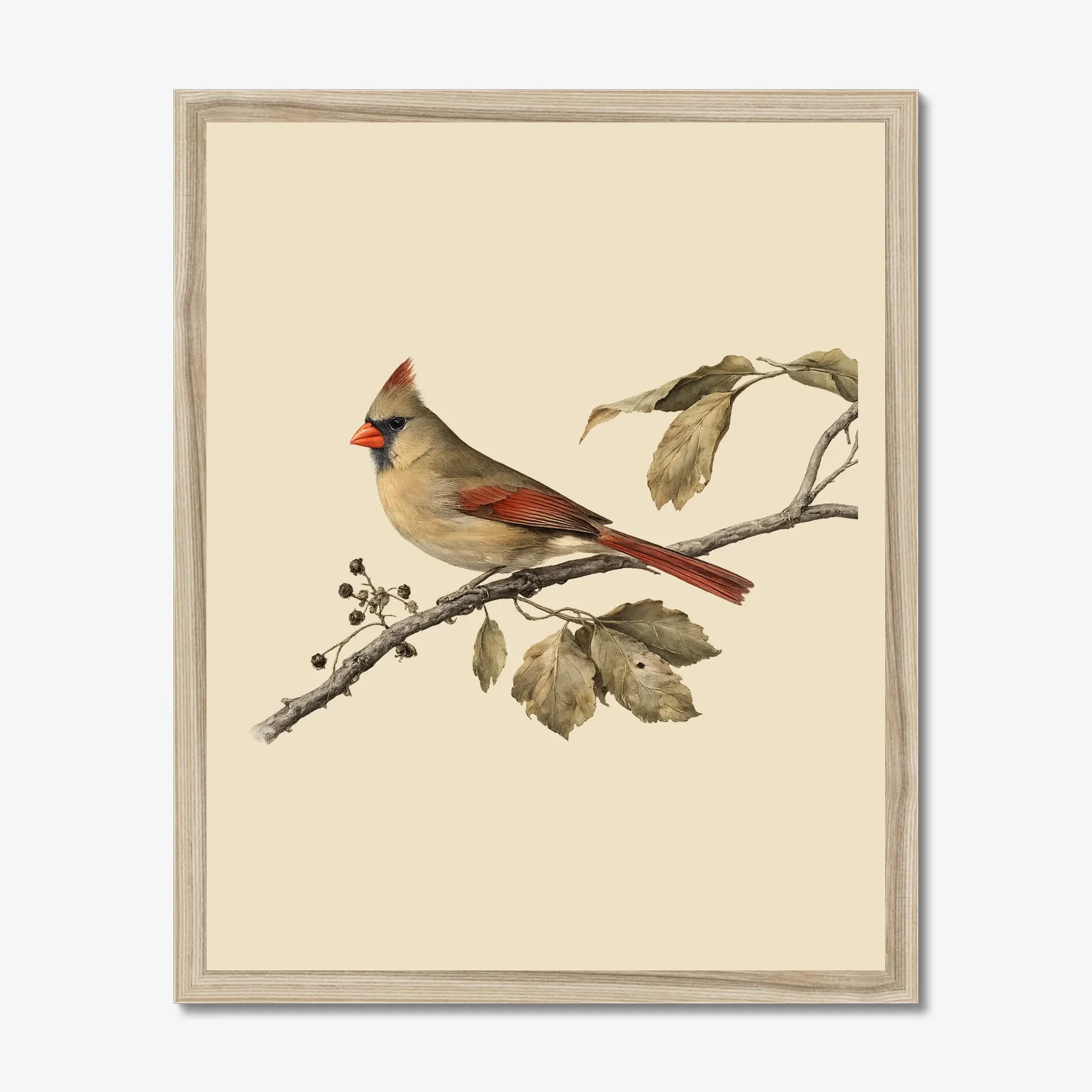 Christmas Cardinal Pair in a natural frame