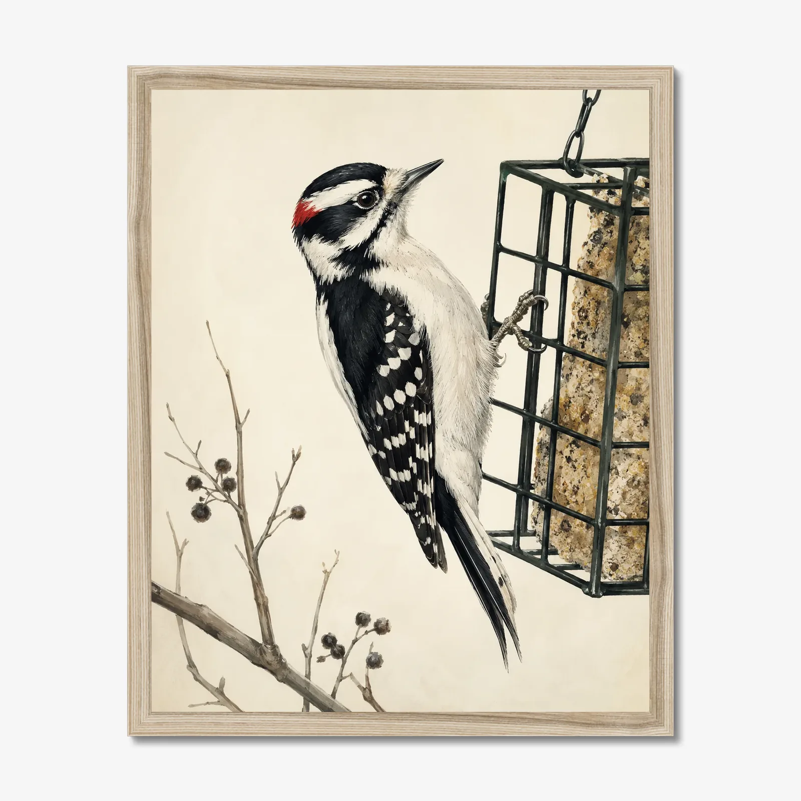 Downy Woodpecker Print in a natural frame