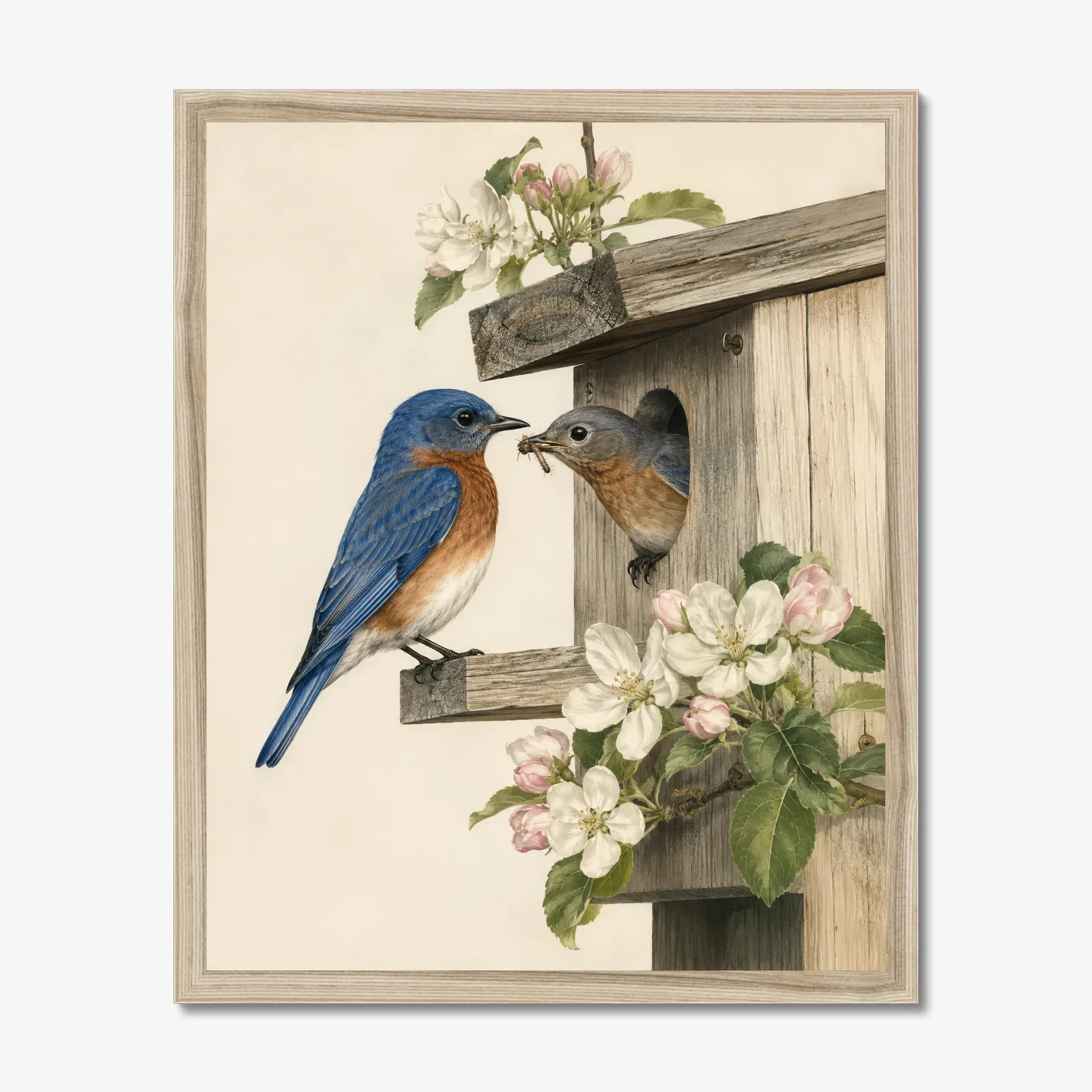 Eastern Bluebird Print - Pair at Nest in a natural frame