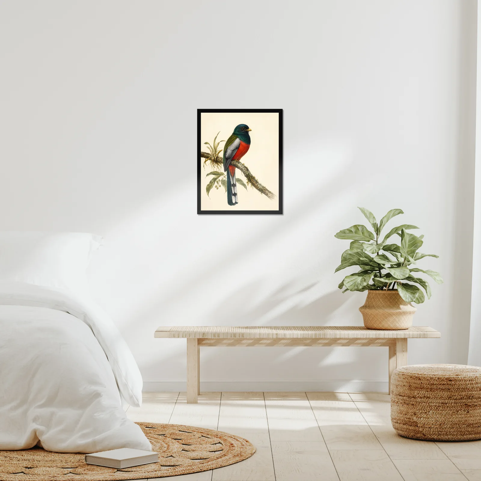 Elegant Trogon Print framed at 16x20 inches, shown on a wall to scale