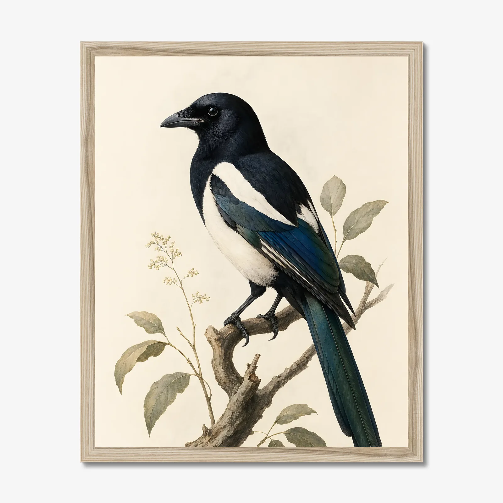 Eurasian Magpie Print in a natural frame