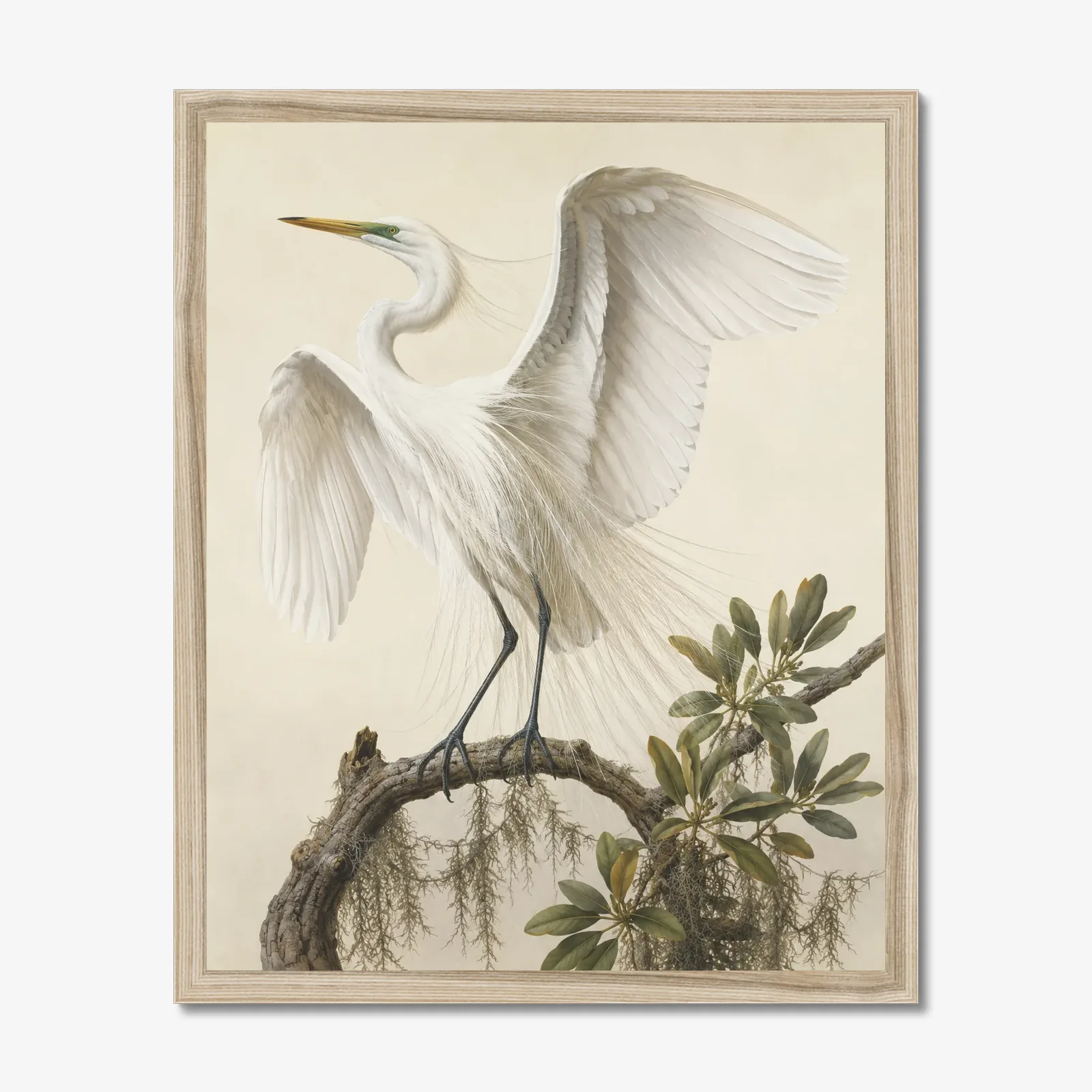 Great Egret Print - With Wings Raised in a natural frame