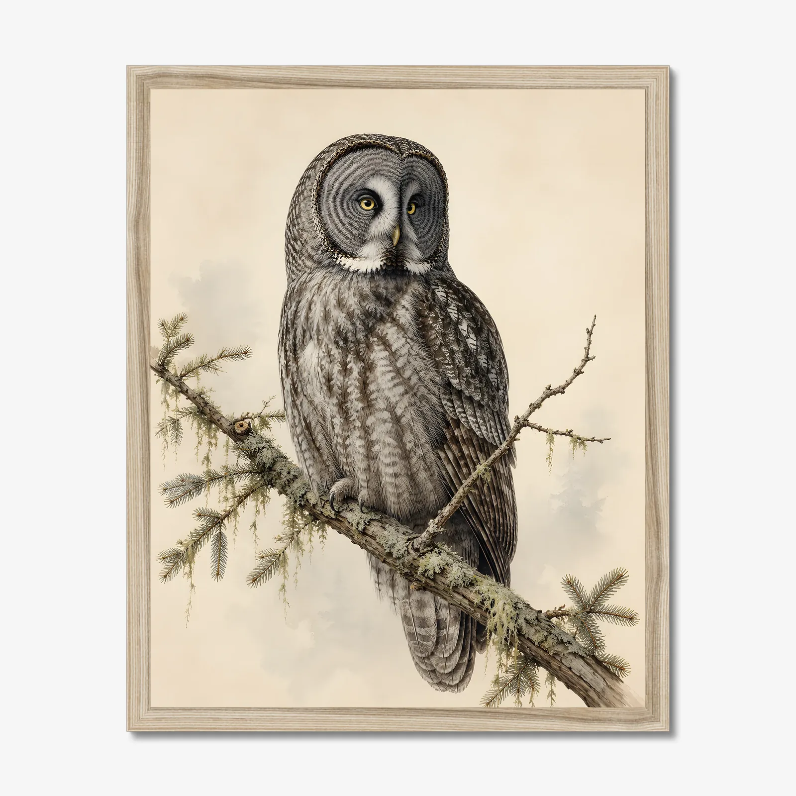 Great Gray Owl Print in a natural frame