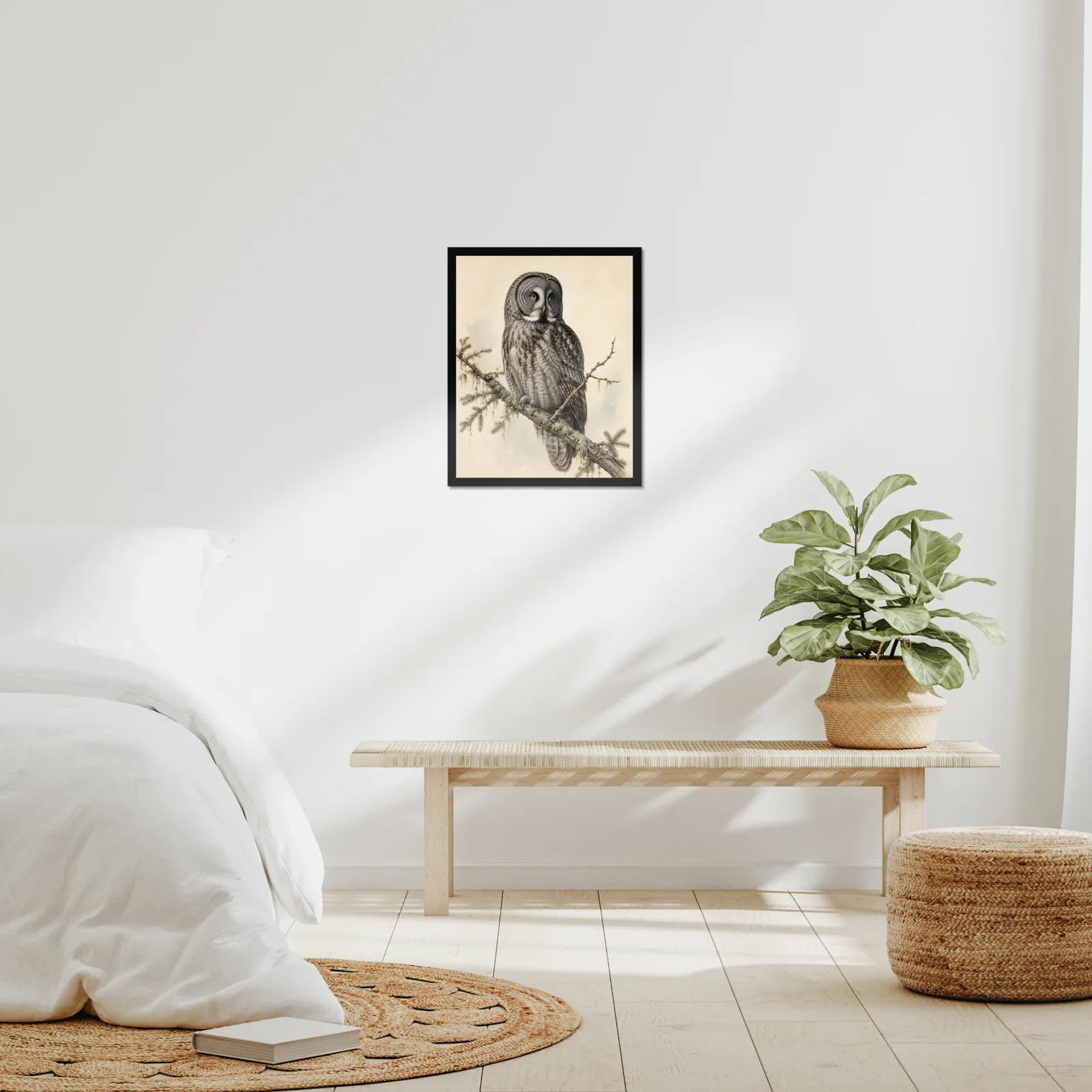 Great Gray Owl Print framed at 16x20 inches, shown on a wall to scale