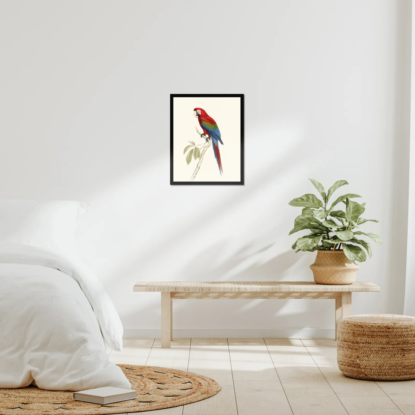 Green-winged Macaw Print framed at 16x20 inches, shown on a wall to scale