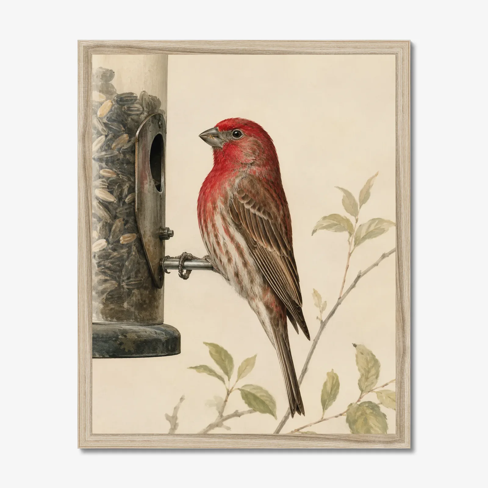 House Finch Print in a natural frame