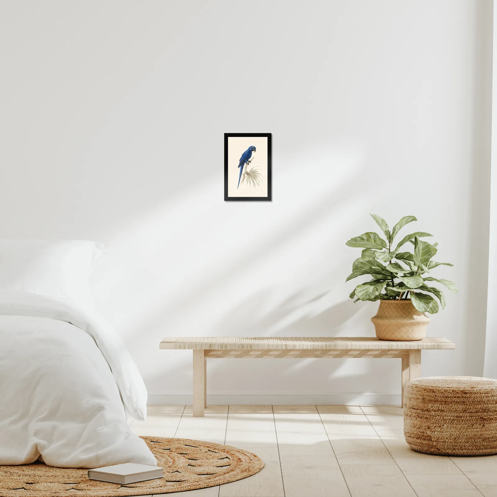 Hyacinth Macaw Print framed at 8x10 inches, shown on a wall to scale