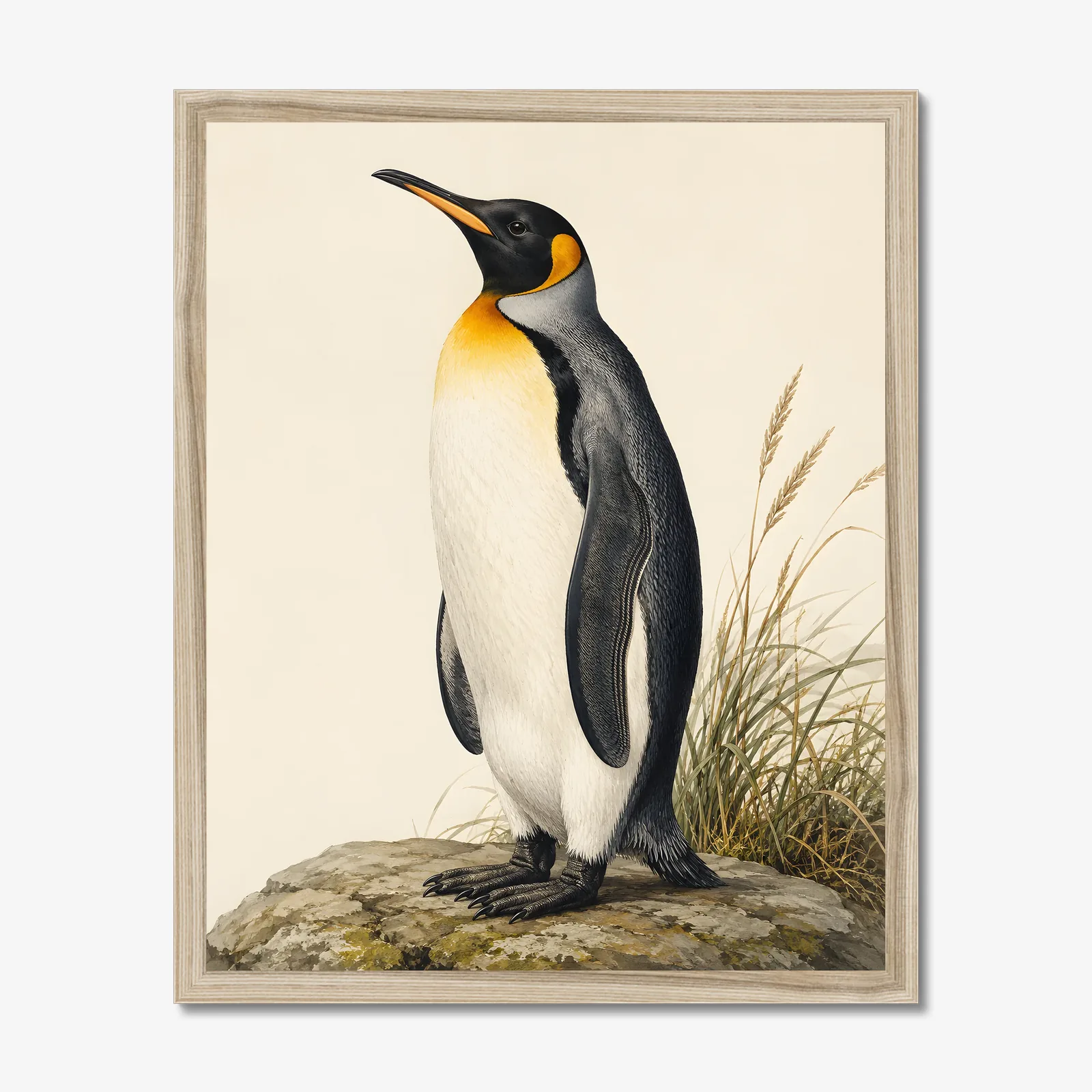 King Penguin Print in a natural frame