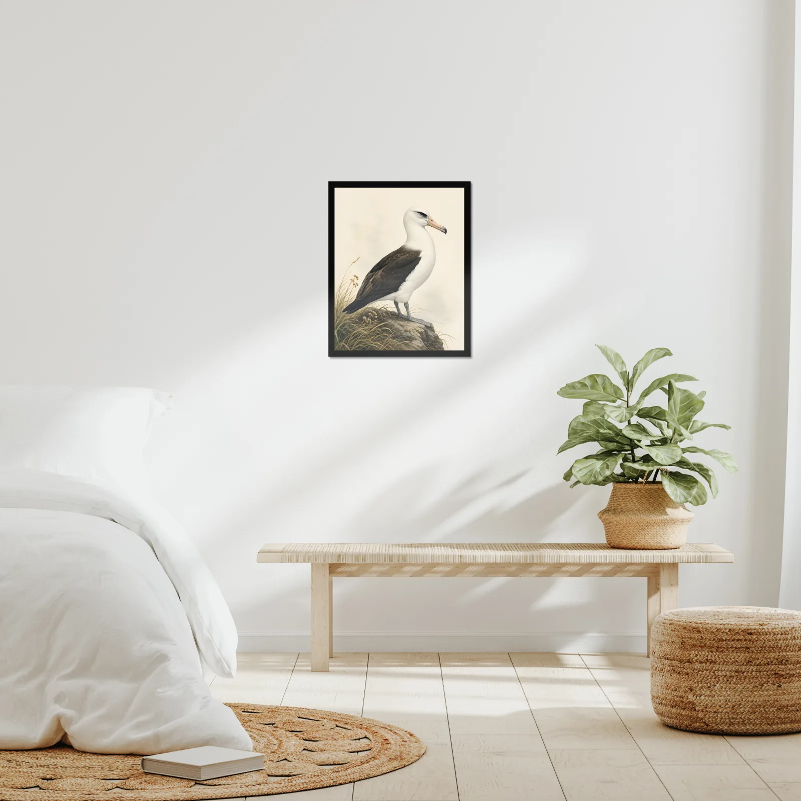 Laysan Albatross Print framed at 16x20 inches, shown on a wall to scale