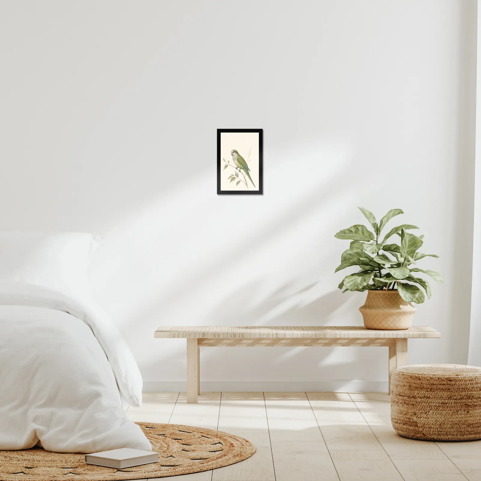 Monk Parakeet Print framed at 8x10 inches, shown on a wall to scale