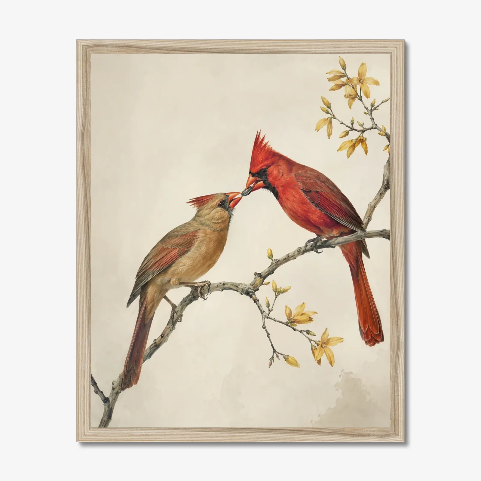 Northern Cardinal Print - Courtship Feeding in a natural frame