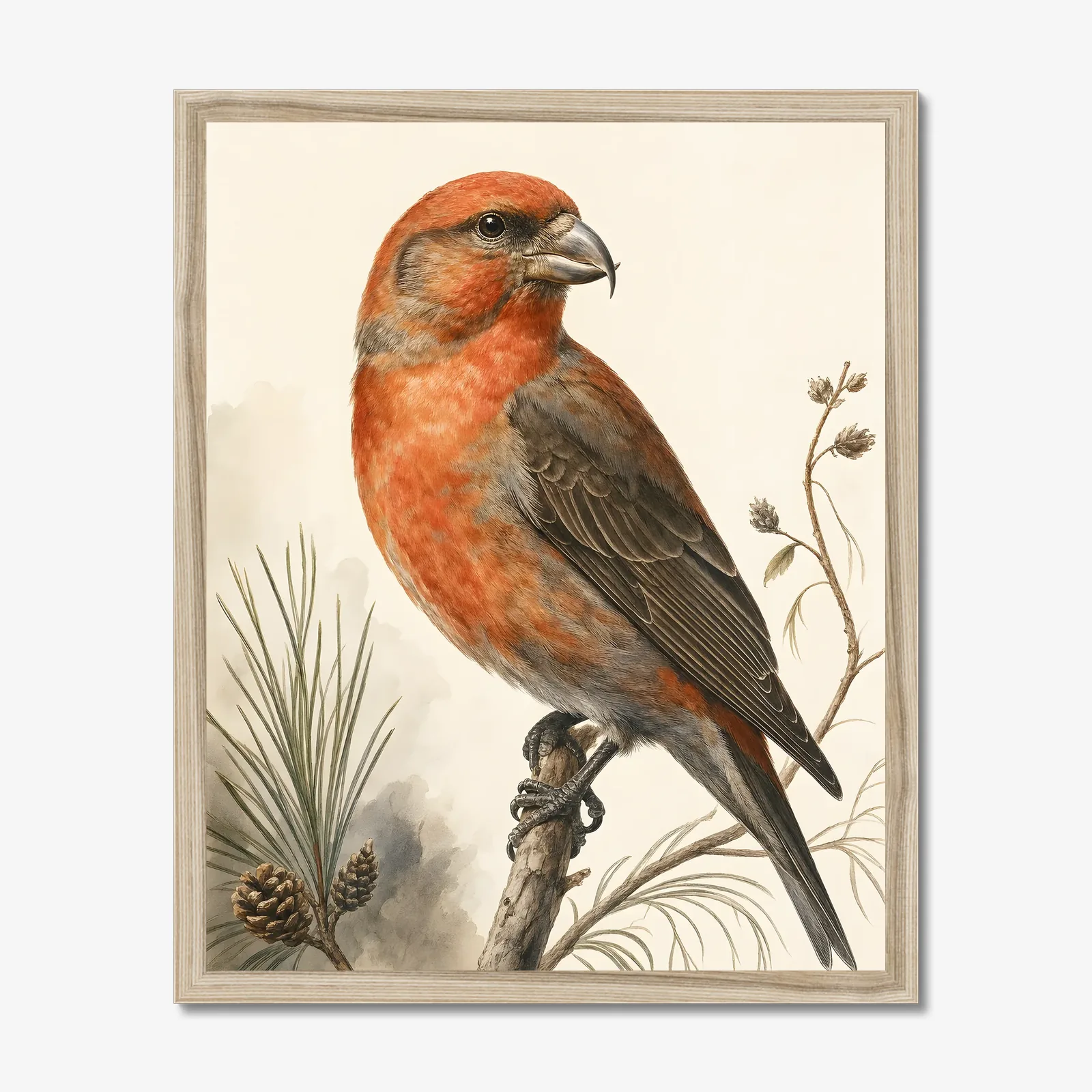 Red Crossbill Print in a natural frame