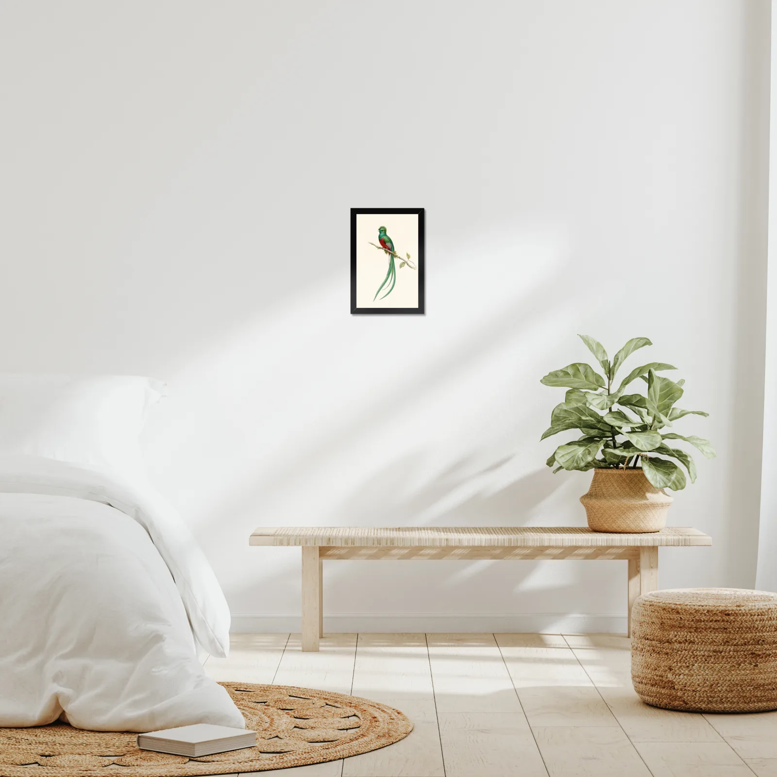 Resplendent Quetzal Print framed at 8x10 inches, shown on a wall to scale