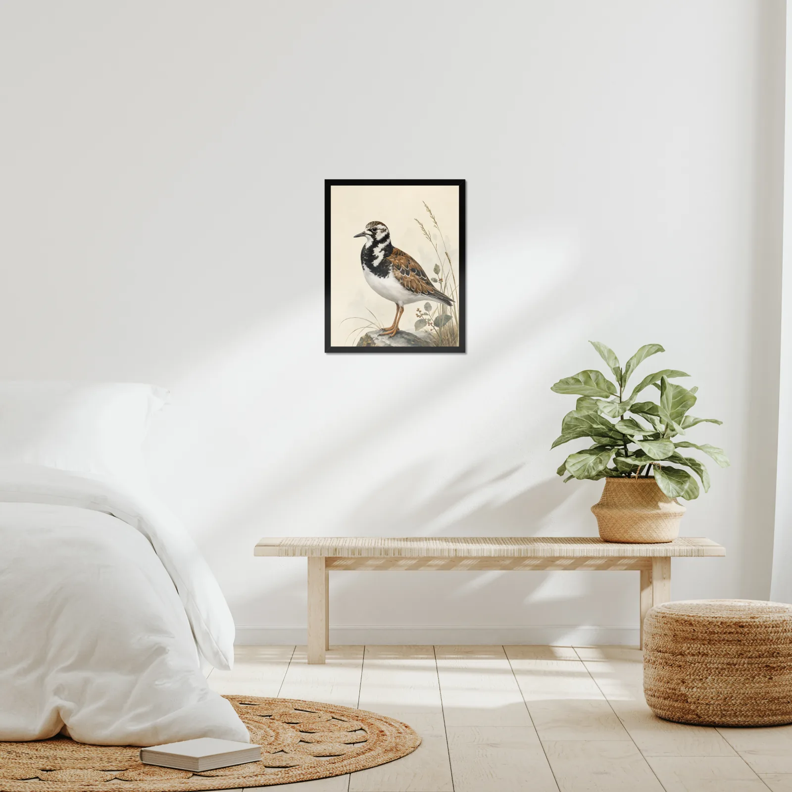 Ruddy Turnstone Print framed at 16x20 inches, shown on a wall to scale