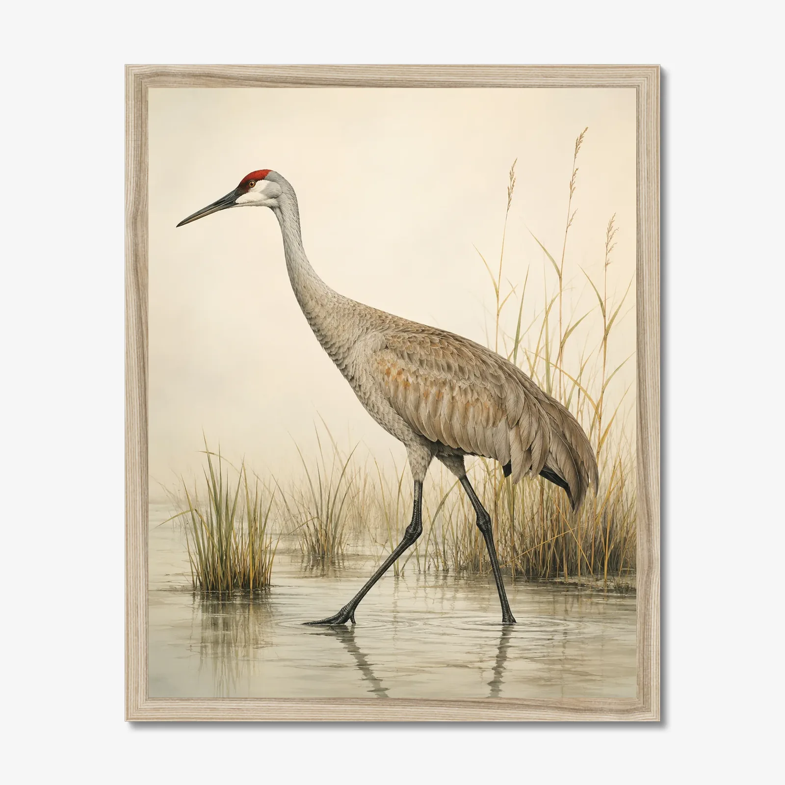 Sandhill Crane print in a natural frame