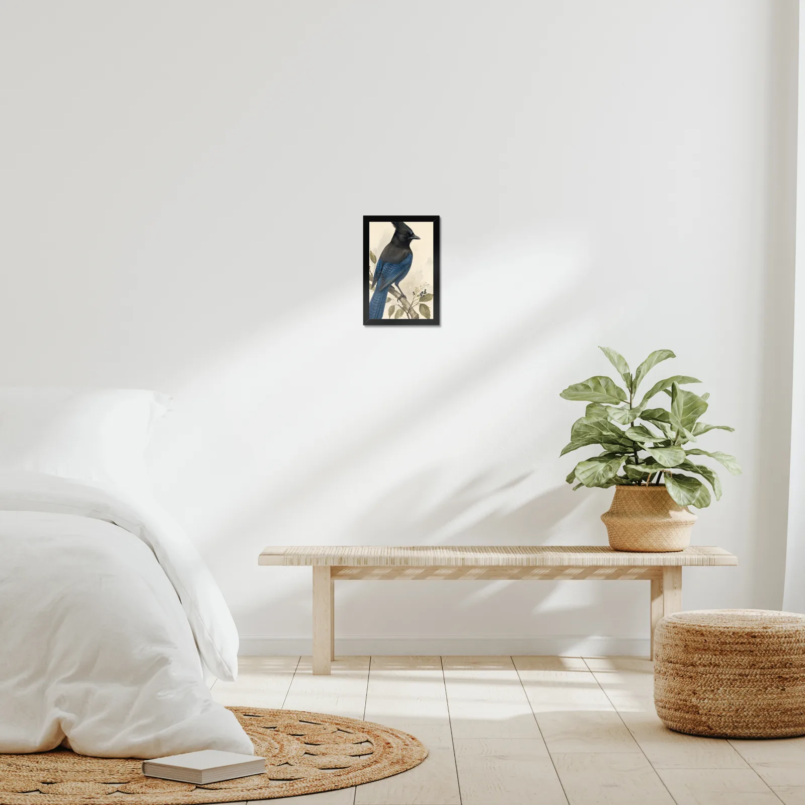 Steller's Jay Print framed at 8x10 inches, shown on a wall to scale
