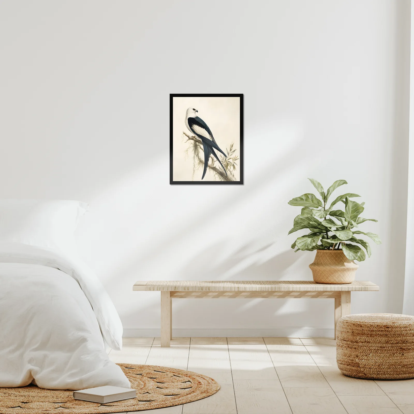 Swallow-tailed Kite Print framed at 16x20 inches, shown on a wall to scale