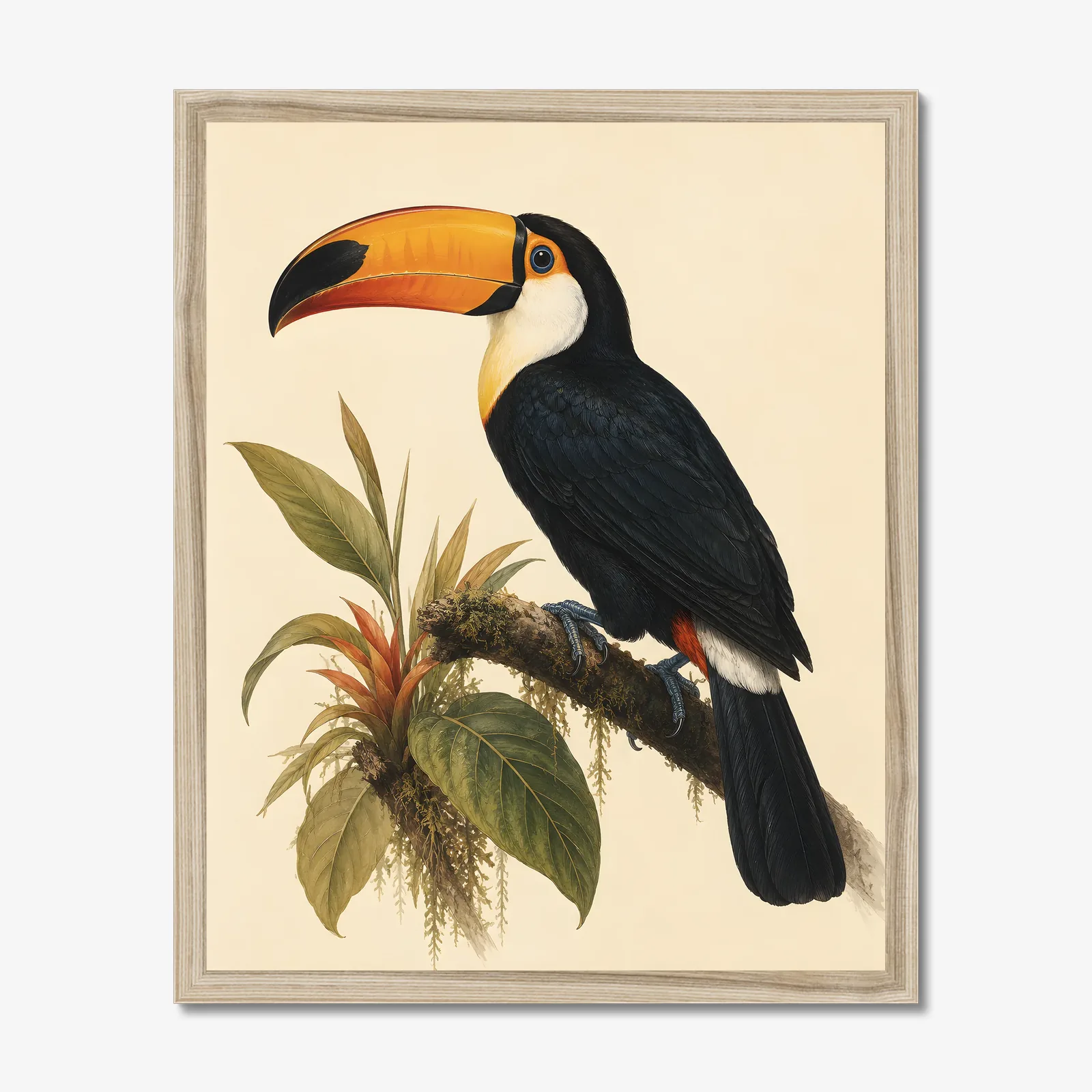 Toco Toucan Print in a natural frame