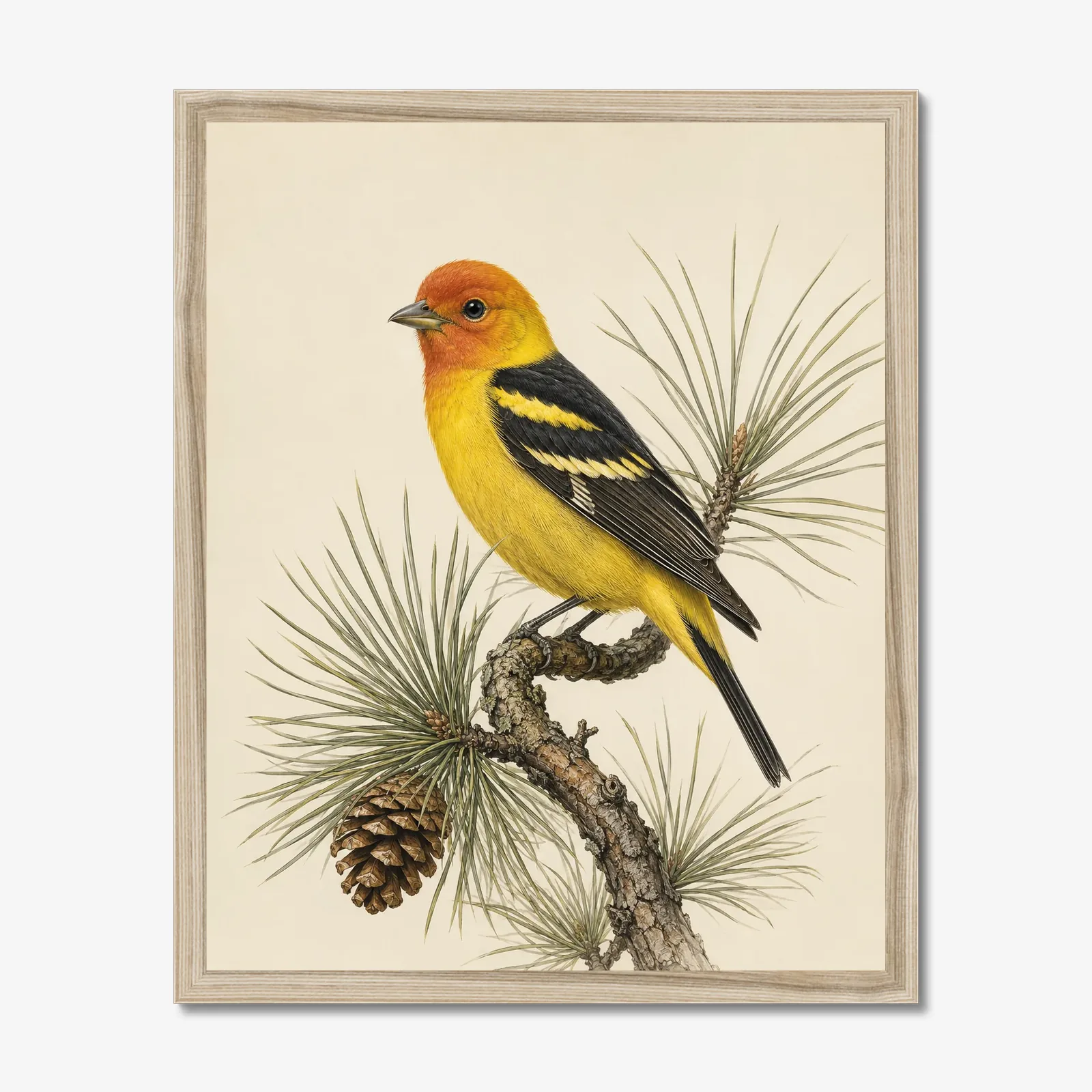 Western Tanager Print in a natural frame