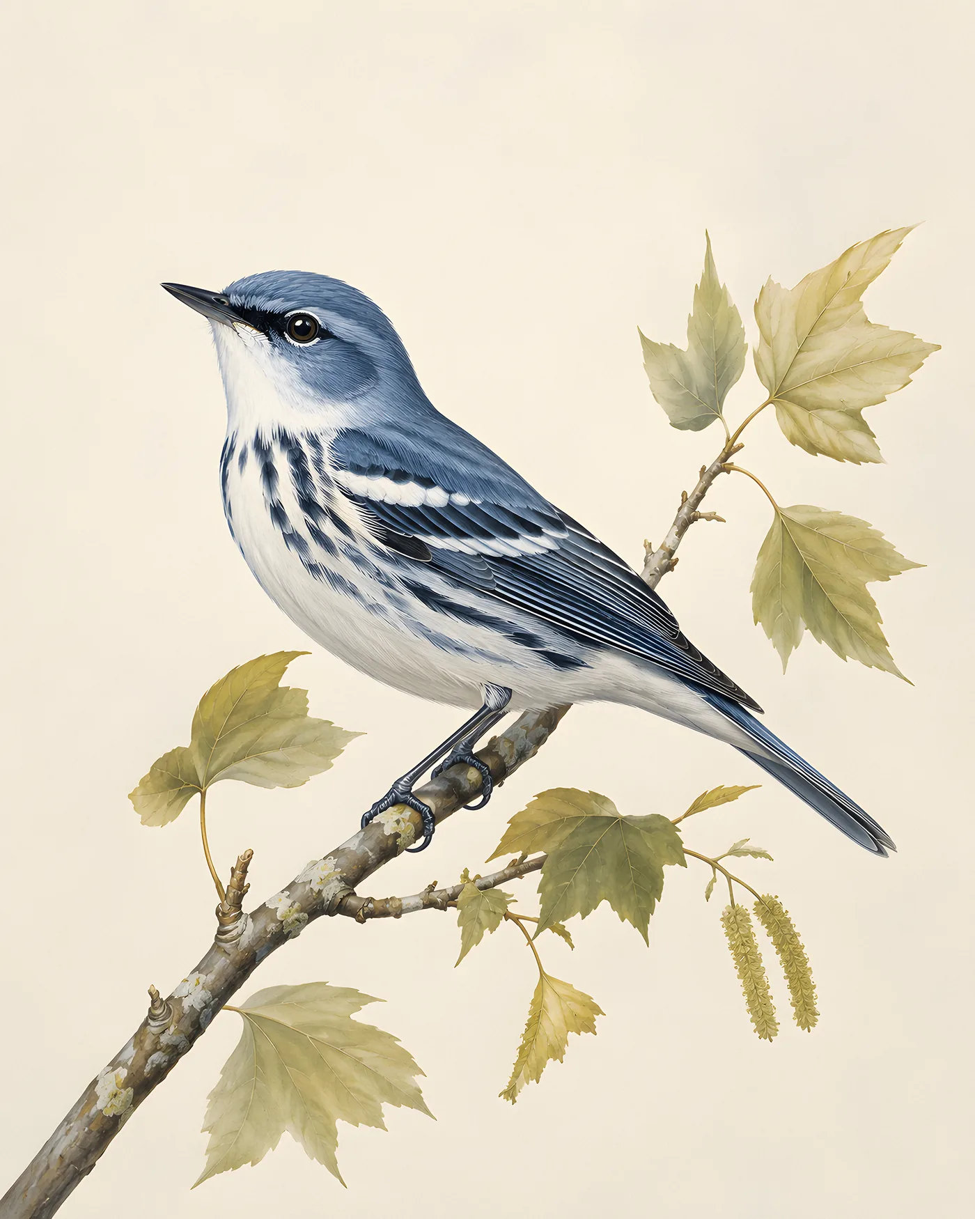 Fine-art Cerulean Warbler print in the Audubon style