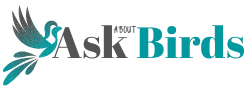 Ask Birds Logo