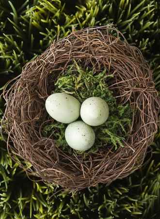 Infertile Eggs vs Unfertilized Eggs