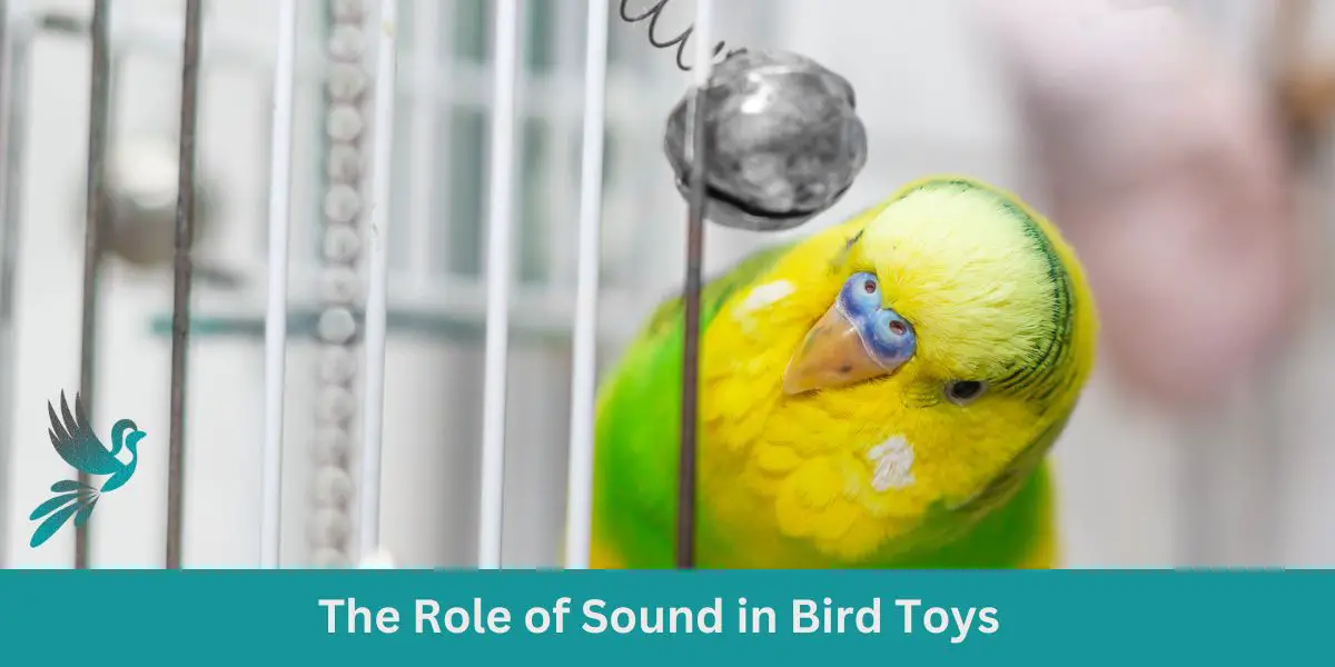The Role of Sound in Bird Toys